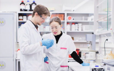 Iiris-palkinto 2026 uuden mikromuovittoman rakenneväripinnoitteen kehittäjille